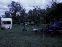 Caravan Orchard Glastonbury 3